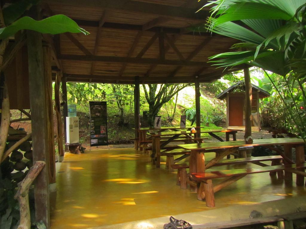 Hotel El Chontal Rincón Exterior foto